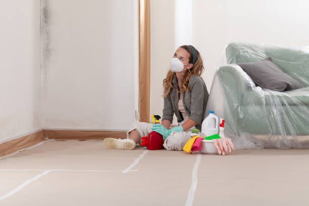 Reliable Mold Removal contractor in Courtland, VA by 24 Hour Mold Removal